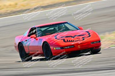 media/Mar-23-2025-West Coast Racing (Sun) [[de161b708f]]/Blue Group/Session 3 (Turns 3 and 5)/